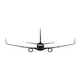 RDW 737 Next Generation NG Sticker Decal Die Cut Self Adhesive Vinyl Made in USA Weatherproof 737ng Airliner Next gen Aircraft - Black 8" x 2.68"