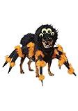 California Costumes Pet Spider Pup Dog Costume Costume Small