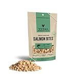 Vital Essentials Freeze Dried Raw Salmon Bites Dog Treats, 2.5 oz | Premium Quality High Protein Training Treats | Grain Free, Gluten Free, Filler Free