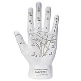 Pacific Giftware Psychic Palmistry Hand Fortune Teller Divination Diagram Resin Figurine