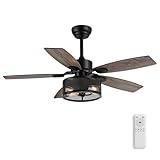 BreezeArt 42 Inch Ceiling Fans with Lights and Remote/APP Control, Ceiling Fan for Bedroom Living Room and Patio, Caged Ceiling Fan for Indoor and Outdoor