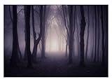 Allenjoy 7x5ft Misty Dark Forest Woods Halloween Backdrop for Photography Gloomy Grove Mystery Background for Portrait Magic Witch Wizard Sorcerer Ghost Themed Party Banner Decors Photo Props