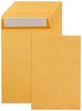 Amazon Basics Catalog Mailing Envelopes, Peel and Seal, 6x9 Inch, Brown Kraft, 250-Pack