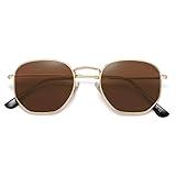 SOJOS Small Square Polarized Sunglasses for Men and Women Polygon Mirrored Lens SJ1072 with Gold Frame/Brown Lens