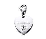 VNOX Addison Disease Medical Alert Symbol Stainless Steel Heart Shape ID Tag Keychain,Charm for Bracelet Handmade Jewelry