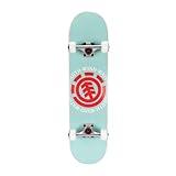 Element Popsicle Skateboard Mint 31" Standard Skateboards with 5" Aluminum Trucks, 9 Layer NE Maple, Ideal for All Experience Levels