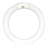 Feit Electric 8-inch 15 Watt LED Circular Tube T9 Replacement, Cool White, 4100K, G10Q Base, Plug & Play, Requires Compatible Existing Ballast, FC8/840/LED 22W EQ Non-DM LED Tube