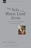 The Acts of the Risen Lord Jesus: Luke's Account of God's Unfolding Plan (Volume 27) (New Studies in Biblical Theology)