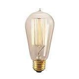 Bulbrite 134019 40W Nostalgic Edison Squirrel Cage-style Bulb