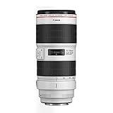 Canon EF 70-200mm f/2.8L is III USM Lens - Telephoto Zoom | 3.5-Stop Image Stabilizer | Action, Travel, Sports, Wildlife