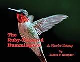 The Ruby-throated Hummingbird: A Photo Essay