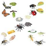 20 PCS Life Cycle Figurines of Butterfly Spider Bee Ladybug Dragonfly, Plastic Insect Bug Figures Toy Kit, Early Education Growth Stage Model Biology Science Toys School Project for Kids Toddlers