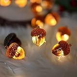 Decorative Fairy Acorn String Lights Thanksgiving Decoration Autumn Garland Cute Novelty Lights 30 LEDs 10 ft Battery Operated for Bedroom Wedding Birthday Harvest Decor