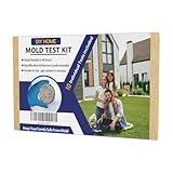 Mold Testing Kit with 10 Individual Tests - DIY Mold Test Kit for Home - Includes Detailed Mold Identification Guide - Fast and Reliable Mold Detector for Home