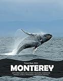 Monterey: A Visual Journey Through Captivating Coastlines, Historic Treasures, Underwater Marvels, and Coastal Escapes - Coffee Table Picture Book or ... & travel lovers.....Relaxing & Meditation.