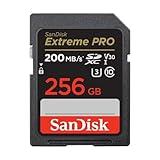 SanDisk 256GB Extreme PRO SDXC UHS-I Memory Card - C10, U3, V30, 4K UHD, SD Card - SDSDXXD-256G-GN4IN, Dark gray/Black