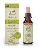 Bach Original Flower Remedies, Wild Rose for Enthusiasm (Non-Alcohol Formula), Natural Homeopathic Flower Essence, Holistic Wellness and Stress Relief, Vegan, 10mL Dropper