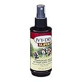 IVY CORPORATION *** Dry Super, Itch Relieving Spray, 6 Fl Oz