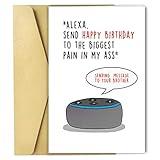 DASLET Funny Birthday Card for Brother, Joke Happy Birthday Greetings Cards for Brother, You Are The Best Brother (Alexa)