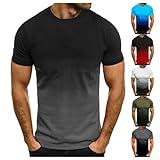 APIVOE Men's T-Shirts 2024 Summer Short Sleeve Shirts Crew Neck Henley Tees Casual Work Beach Big and Tall Slim Fit Shirts