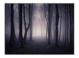 Allenjoy 8x6ft Misty Dark Forest Woods Halloween Backdrop for Photography Gloomy Grove Mystery Background for Portrait Magic Witch Wizard Sorcerer Ghost Themed Party Banner Decors Photo Props