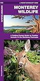 Monterey Wildlife: A Folding Pocket Guide to Familiar Animals of the Monterey Peninsula (Wildlife and Nature Identification)