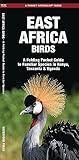 East Africa Birds: A Folding Pocket Guide to Familiar Species in Kenya, Tanzania & Uganda (Wildlife and Nature Identification)