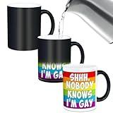 Nobody Knows I’m Gay Rainbow Heat Change Mug, LGBTQ Pride Mug, Funny Coffee Mug for Transgender Lesbian Bisexual, Novelty Funny Gag Gay Present