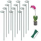 Joyhalo 12 Pack Plant Stakes, 16 Inch Plant Support Stakes, Plant Sticks Support with 24 Twist Ties, Flower Stakes for Plants Peony, Amaryllis, Marigold, Coreopsis, Tomato Seedling, Sapling Etc