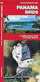 Panama Birds: A Folding Pocket Guide to Familiar Species (Wildlife and Nature Identification)