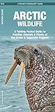 Arctic Wildlife: A Folding Pocket Guide to Familiar Animals & Plants of the Arctic and Subarctic Regions (Wildlife and Nature Identification)