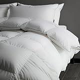 HYVIF Luxury Feathers Down Comforter King Size - 750 Fill Power All Season Duvet Insert, Ultra-Soft Hotel Collection Comforter, Fluffy and Cozy - Ivory White, King 106 X 90”