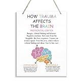 How Trauma Affects the Brain Wood Sign, Therapy Decorations, Hanging Wooden Plaques Decor, Therapist Office Decor, Counseling Room Wall Decor, Medical Education Resources, Psychology Artwork