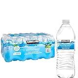 Kirkland Signature Purified Drinking Water, 16.9 Fl Oz (Pack of 40)