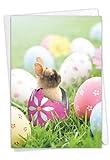 NobleWorks - 1 Retro Easter Greeting Card with Envelope (4.63 x 6.75 Inch) - Hatching Rabbits-Egg C8993FEAG