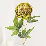 Factory Direct Craft Group of 2 Green Artificial Peony Stems for Spring Arrangements and Summer Displays – 24" H