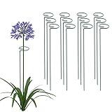 Thealyn 12 Pack 16 Inch Plant Support Stakes, Metal Single stemmed Flower Support Hoops，Garden Plant Stakes Plant Prop for Amaryllis Orchid Lily Rose Peony Tomatoes Gladiolus