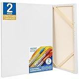 FIXSMITH Stretched White Blank Canvas - 24x36 Inch, 2 Pack,Primed Large Canvas,100% Cotton,5/8 Inch Profile of Super Value Pack for Acrylics,Oils & Other Painting Media