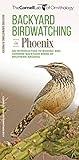 Backyard Birdwatching in Phoenix: An Introduction to Birding and Common Backyard Birds of Southern Arizona (Wildlife and Nature Identification)