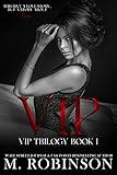 VIP: A Love Triangle Romance