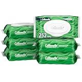 Cottonelle GentlePlus Flushable Wet Wipes with Aloe & Vitamin E, 6 Flip-Top Packs, 42 Wipes Per Pack (252 Total Wipes), Packaging May Vary