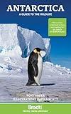 Antarctica: A Guide to the Wildlife (Bradt Travel Guide. Antarctica)