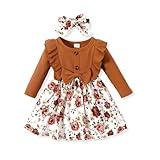 PATPAT Baby Girl Dress Infant Girls Long Sleeve Baby Casual Dress Round Neck Floral Print A-Line Dress Ginger 12-18 Months