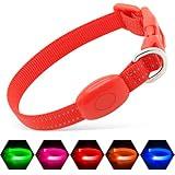 Light Up Dog Collar for Small Dogs &Cats - Adjustable LED Dog Collar Rechargeable, Dog Camping Essentials Glow in The Dark Dog Collar Light for Night Walking(Red, X-Small)