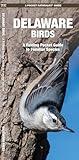 Delaware Birds: A Folding Pocket Guide to Familiar Species (Wildlife and Nature Identification)