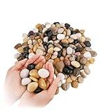 10 lbs Natural River Rocks 2-3 Inch Polished Pebbles Decorative Stones Landscape Rocks Pebbles for Indoor Plants Rocks for Landscaping Outdoor Rocks for Plants Indoor,River Rocks for Landscaping