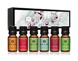 P&J Fragrance Oil Holiday Set | Mistletoe, Candy Cane, Wintermint, Apple Cider, Cranberry, and Forest Pine Candle Scents for Candle Making, Freshie Soap Making Supplies, Diffuser Oil Scents