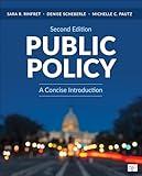 Public Policy: A Concise Introduction