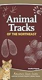 Animal Tracks of the Northeast: Your Way to Easily Identify Animal Tracks (Adventure Quick Guides)