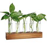 Renmxj Plant Propagation Station, Plant Terrarium with Wooden Stand for Hydroponics Plants Office Decor Unique Gardening Gifts for Women Plant Lovers - 5 Glass Test Tube Vases